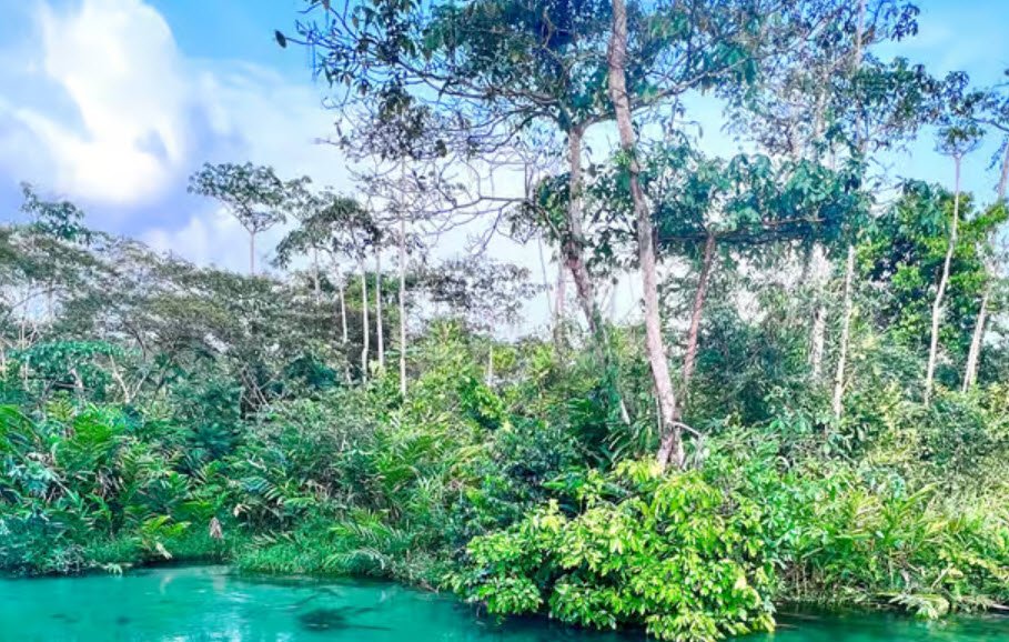 Lefini Faunal Reserve, Plateaux Region, North of Brazzaville, DR Congo